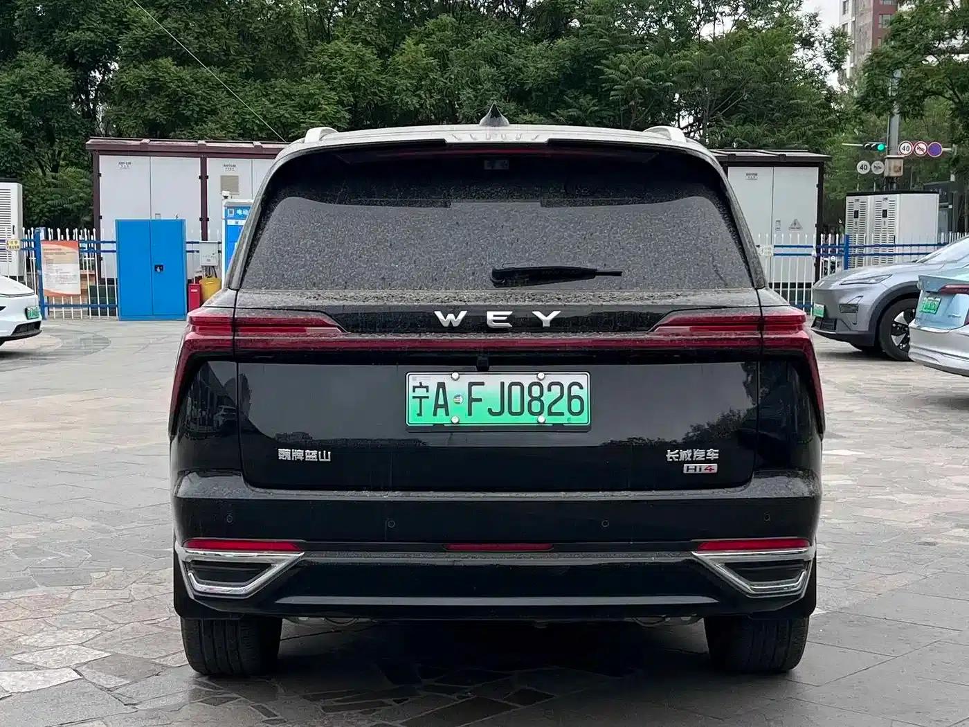 Weipai Blue Mountain 2025 Four-Wheel Drive Ultra — миниатюра 8
