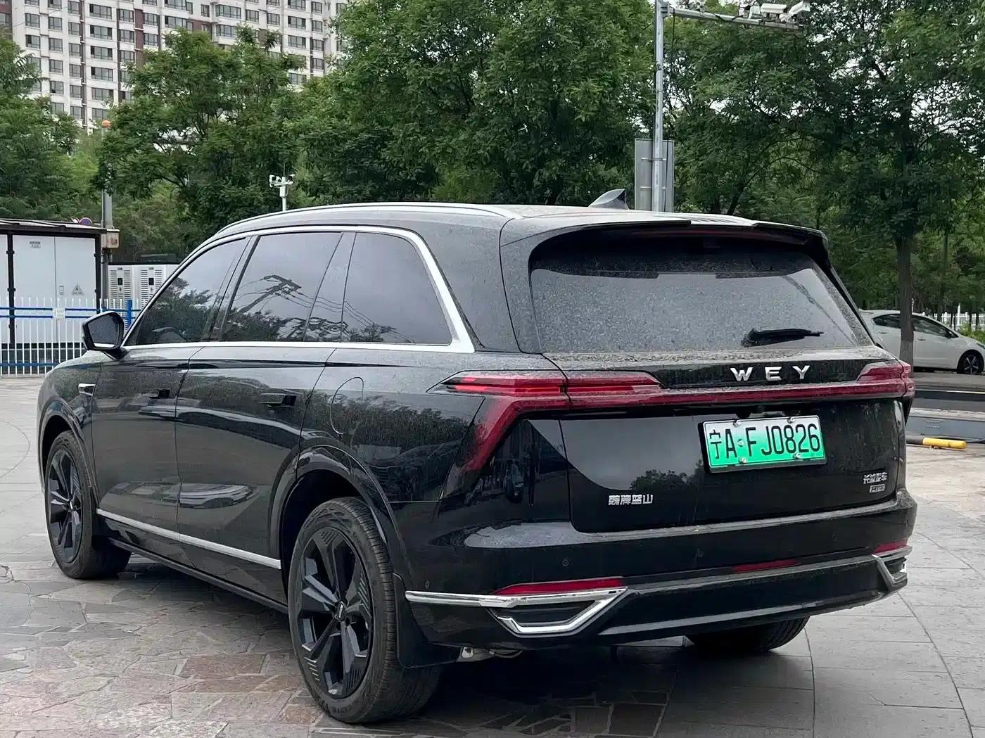 Weipai Blue Mountain 2025 Four-Wheel Drive Ultra — миниатюра 9