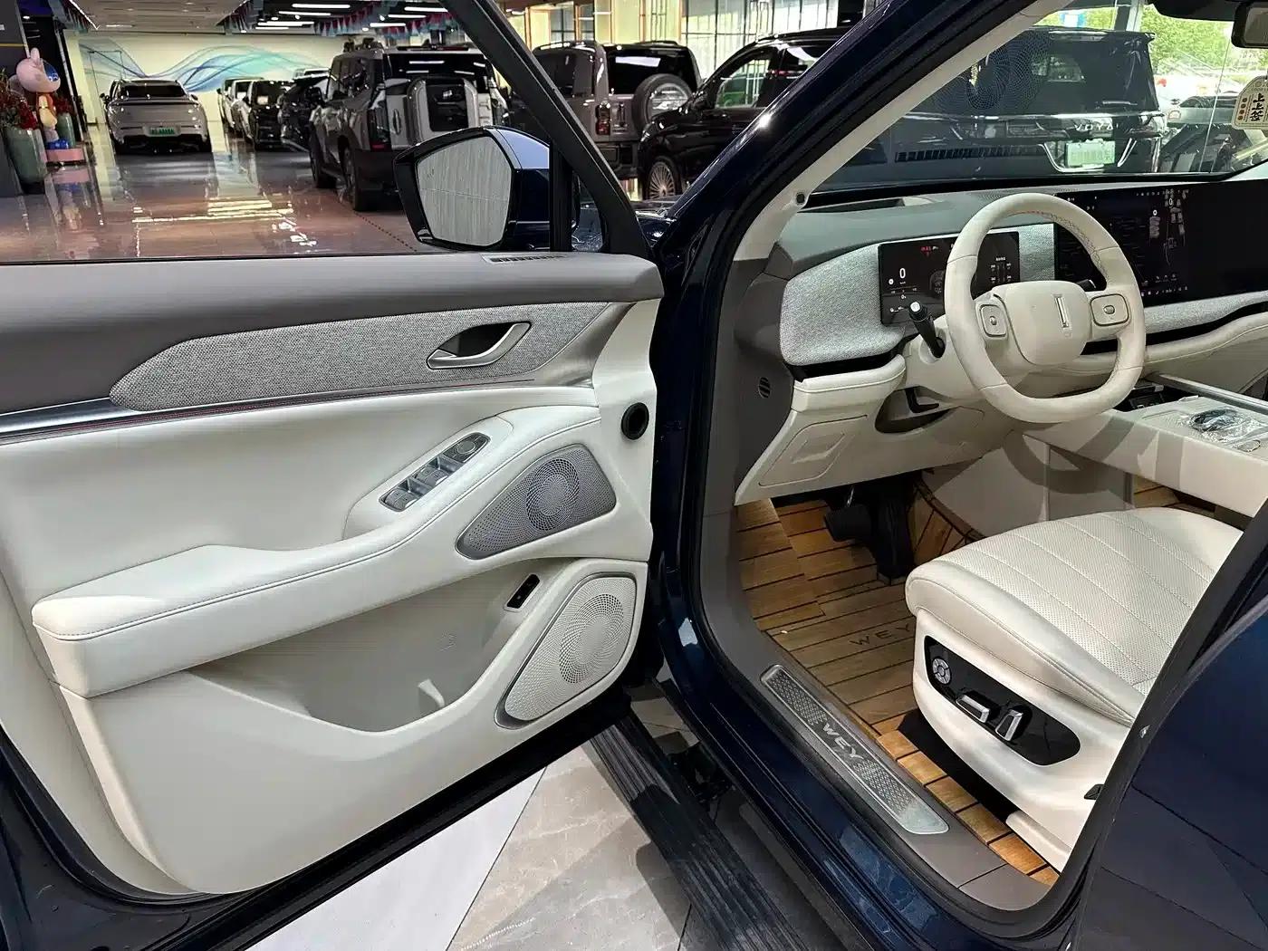 Weipai Blue Mountain 2025 4WD Max — миниатюра 11
