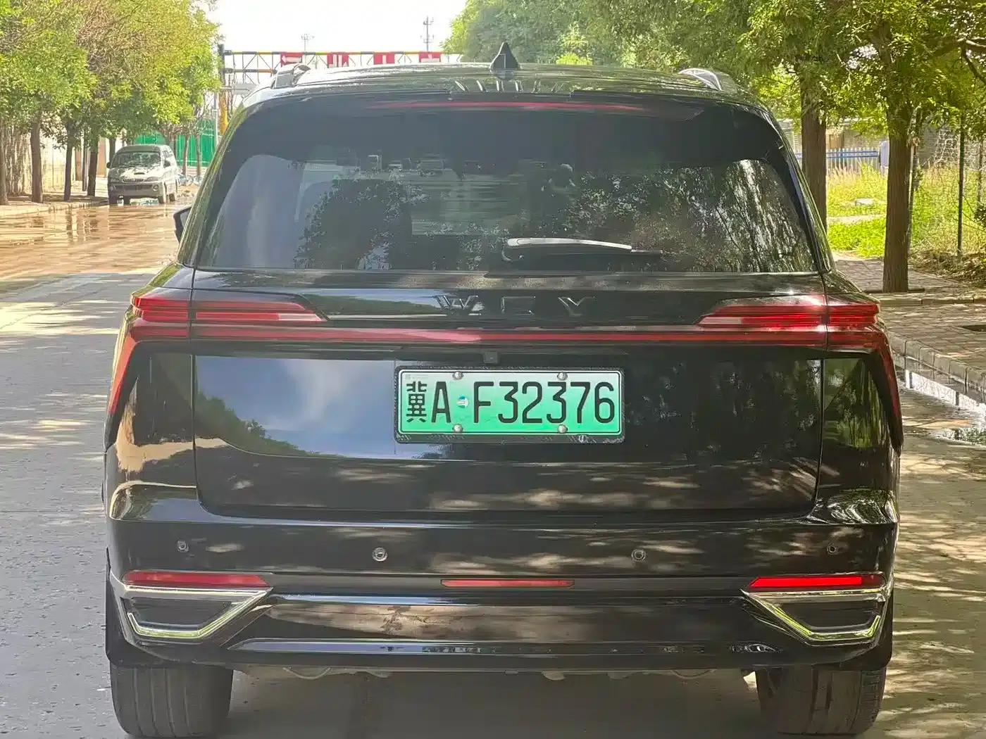 Weipai Lanshan 2023 Four-Wheel Drive Extended Range Edition — миниатюра 8