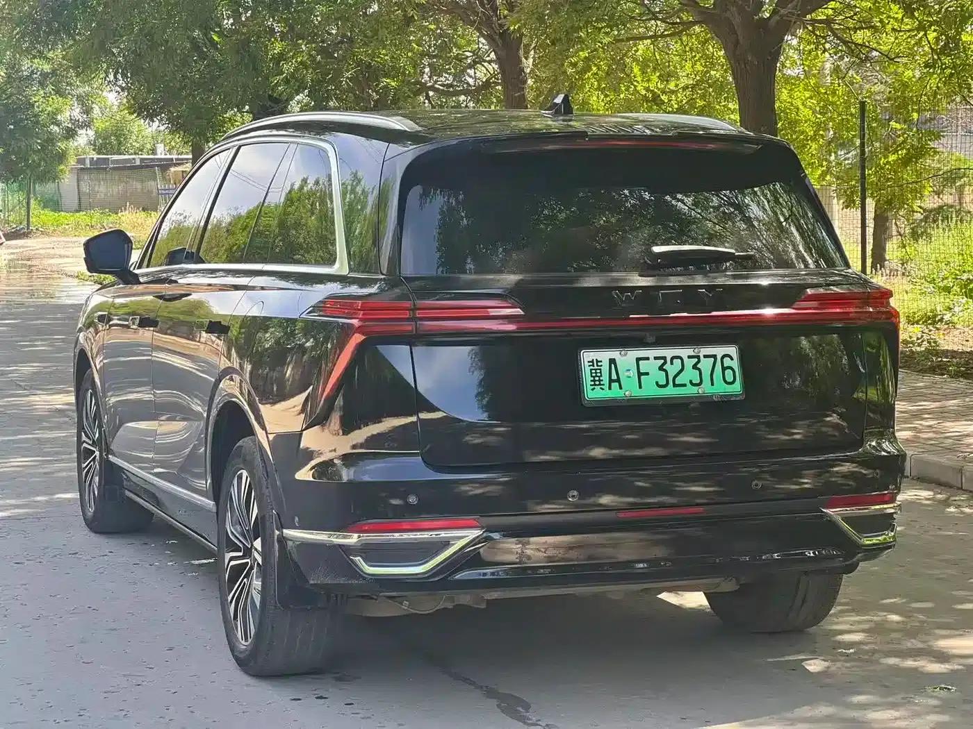 Weipai Lanshan 2023 Four-Wheel Drive Extended Range Edition — миниатюра 9