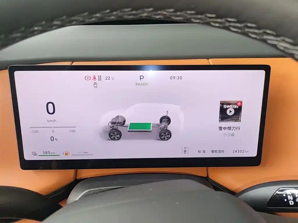 Weipai Blue Mountain 2025 4WD Max — миниатюра 12