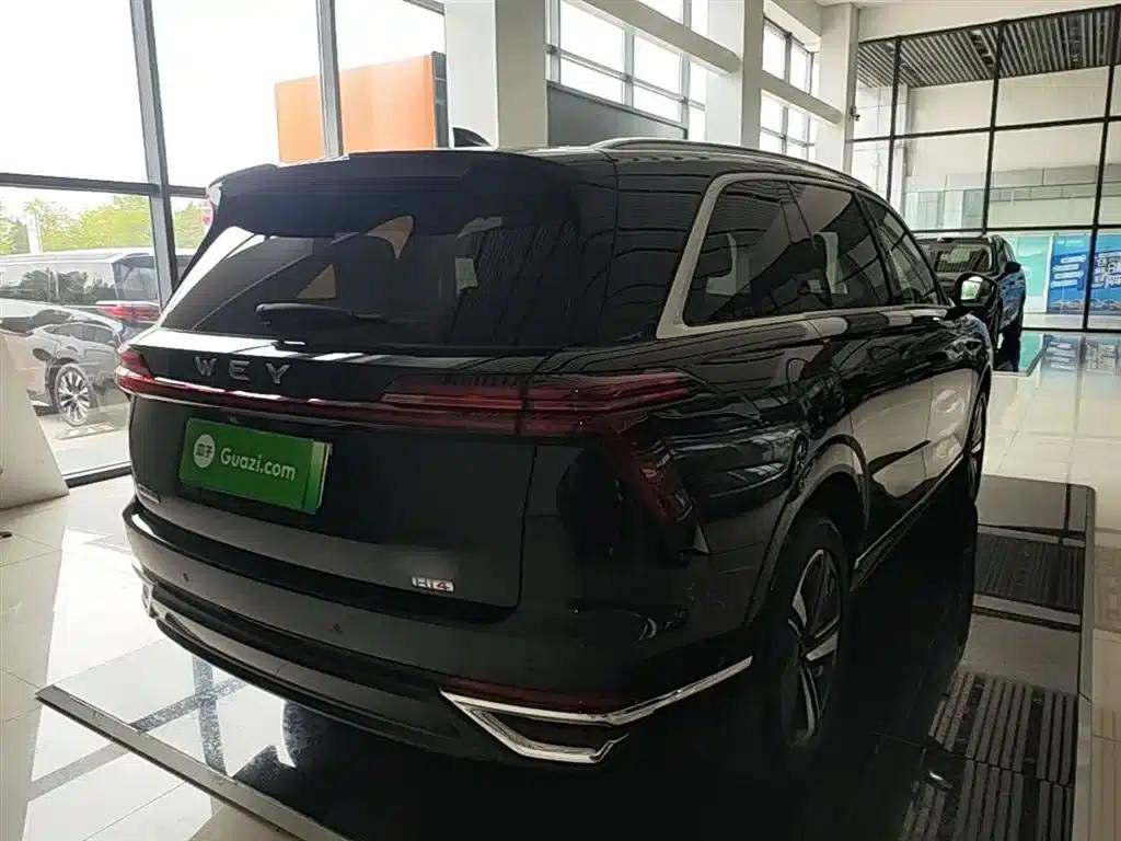 Weipai Blue Mountain 2025 4WD Max — миниатюра 7