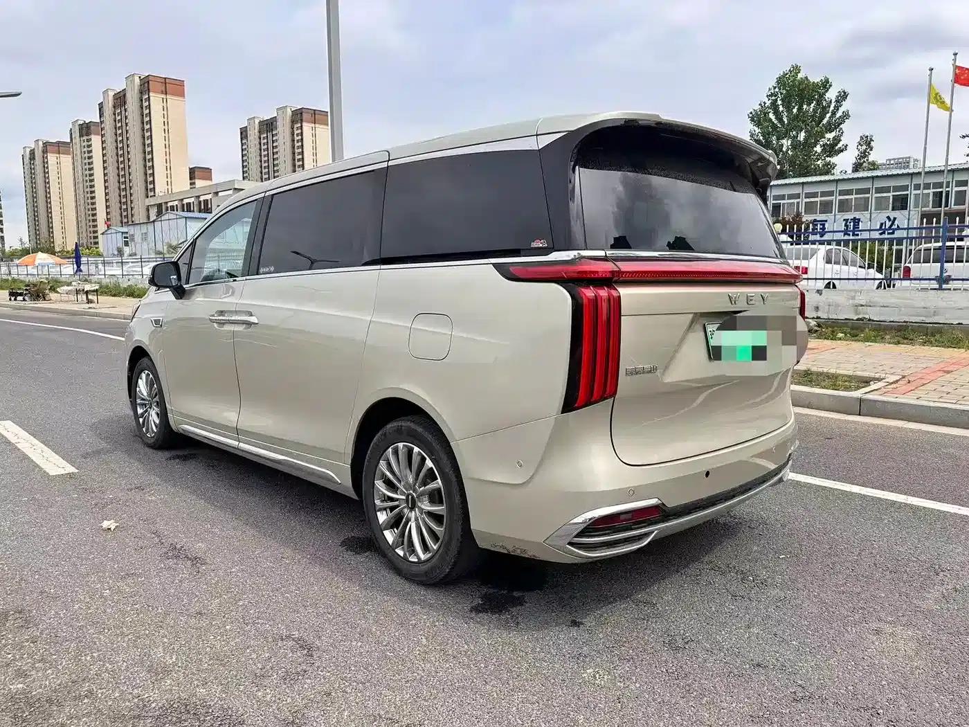 Weipai Gaoshan 2023 Four-Wheel Drive Flagship Edition — миниатюра 6