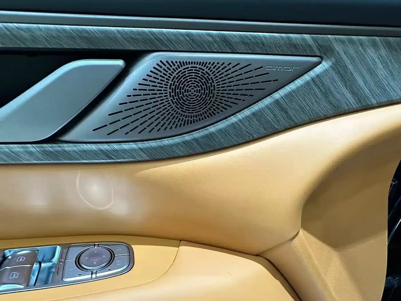 Weipai Gaoshan 2025 Model 4WD Gaoshan 9 — миниатюра 19