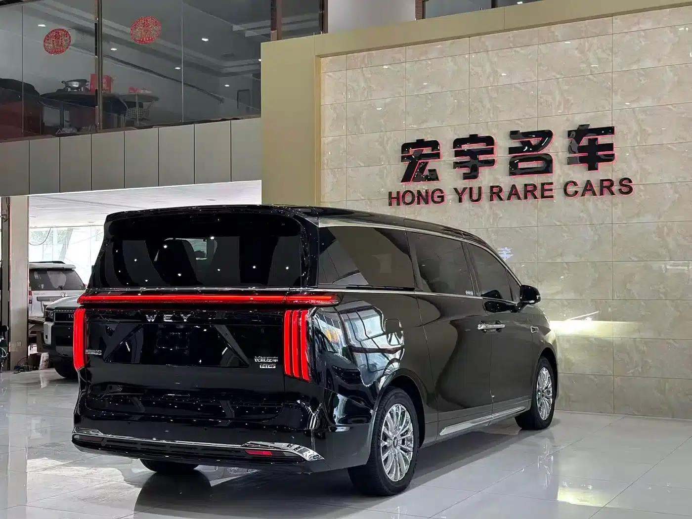 Weipai Gaoshan 2025 Model 4WD Gaoshan 9 — миниатюра 27