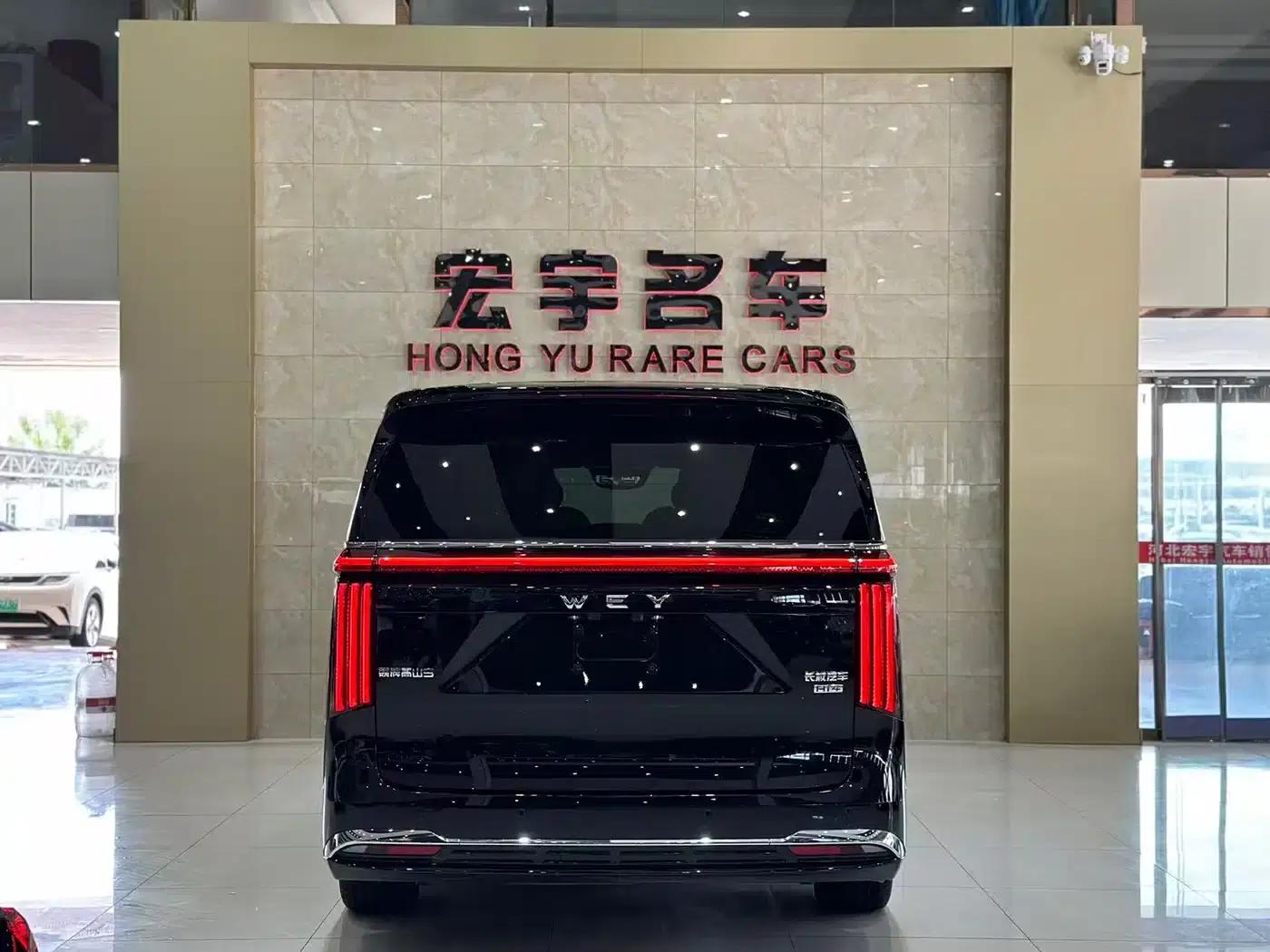 Weipai Gaoshan 2025 Model 4WD Gaoshan 9 — миниатюра 28