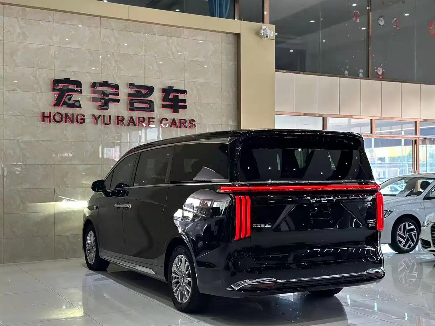 Weipai Gaoshan 2025 Model 4WD Gaoshan 9 — миниатюра 29