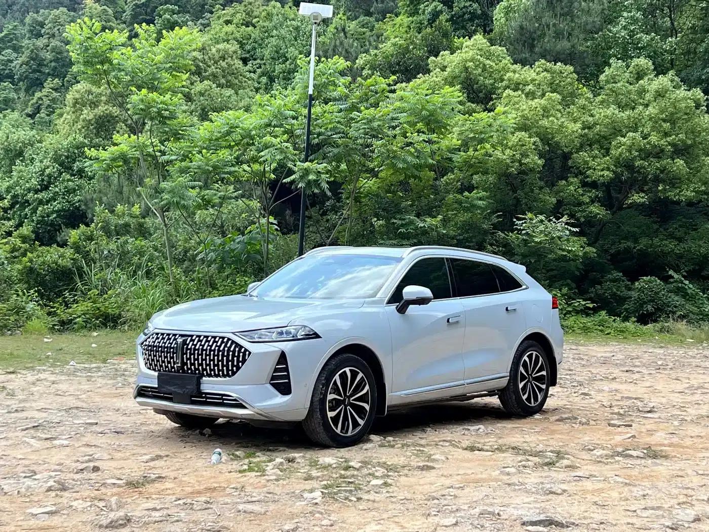 Wey brand Mocha 2021 2.0T 2WD Special Edition — миниатюра 1