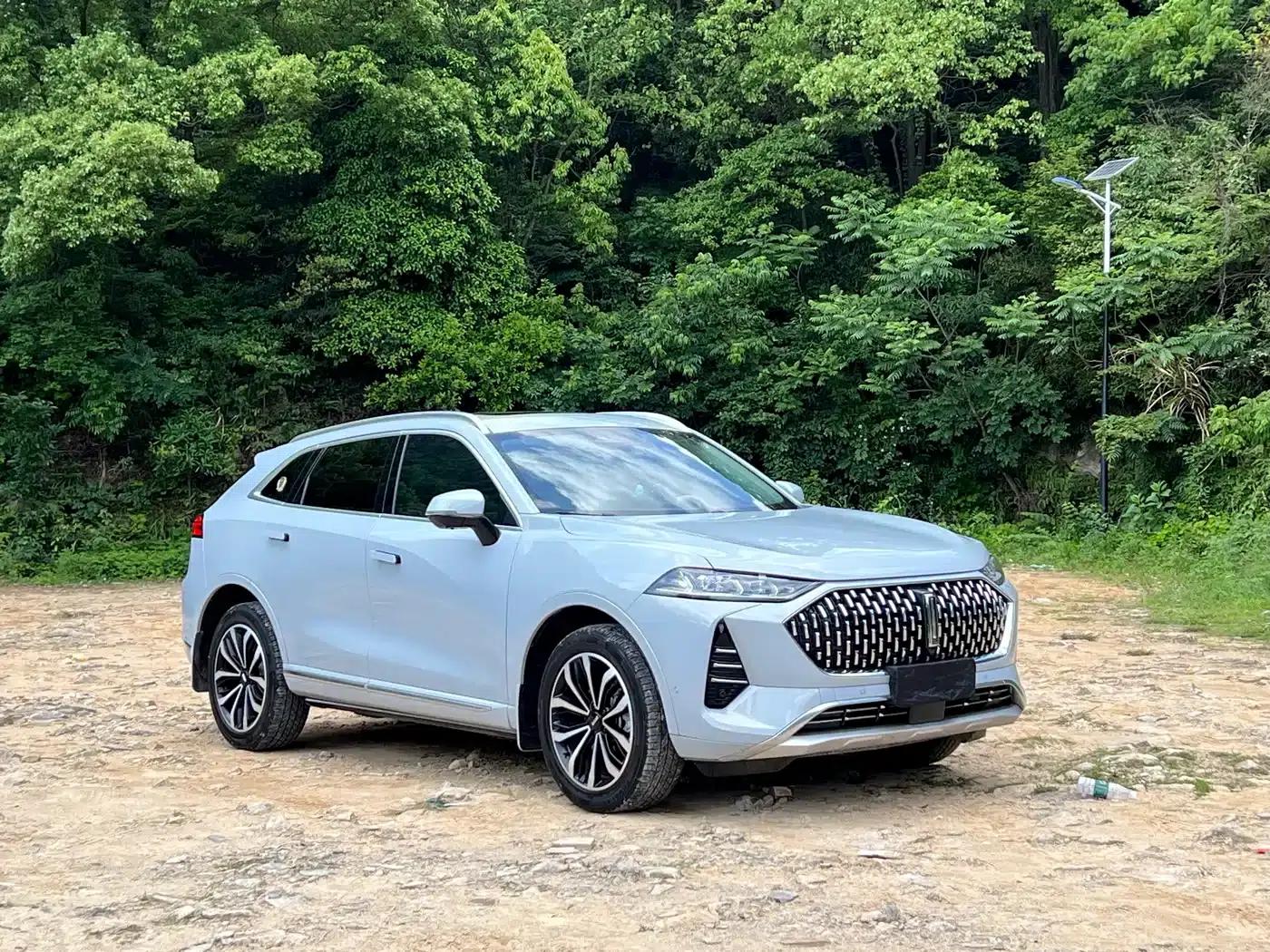 Wey brand Mocha 2021 2.0T 2WD Special Edition — миниатюра 3