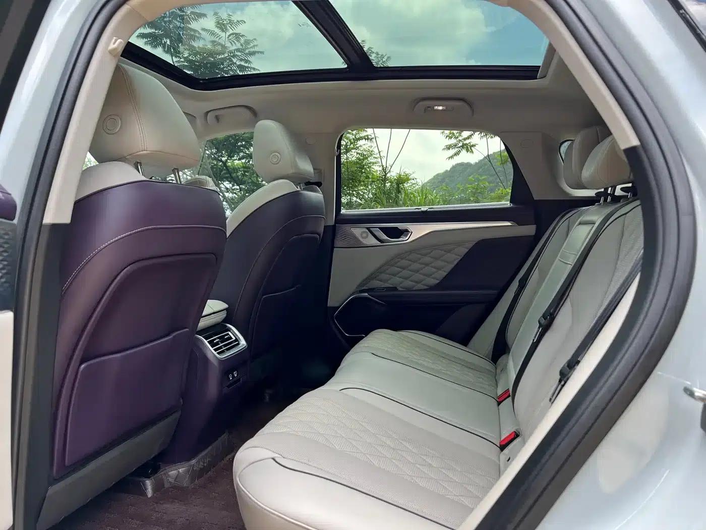 Wey brand Mocha 2021 2.0T 2WD Special Edition — миниатюра 5