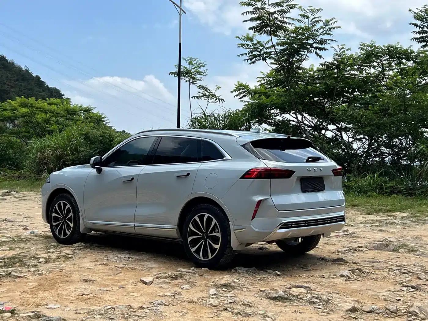 Wey brand Mocha 2021 2.0T 2WD Special Edition — миниатюра 10