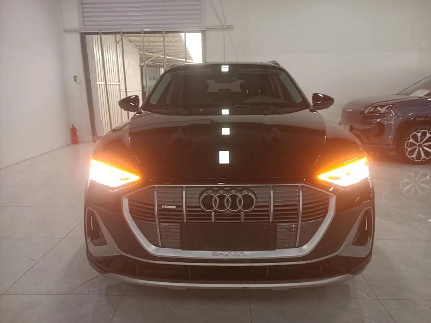 Audi e-tron 2021 50 quattro Prestige Edition — миниатюра 2