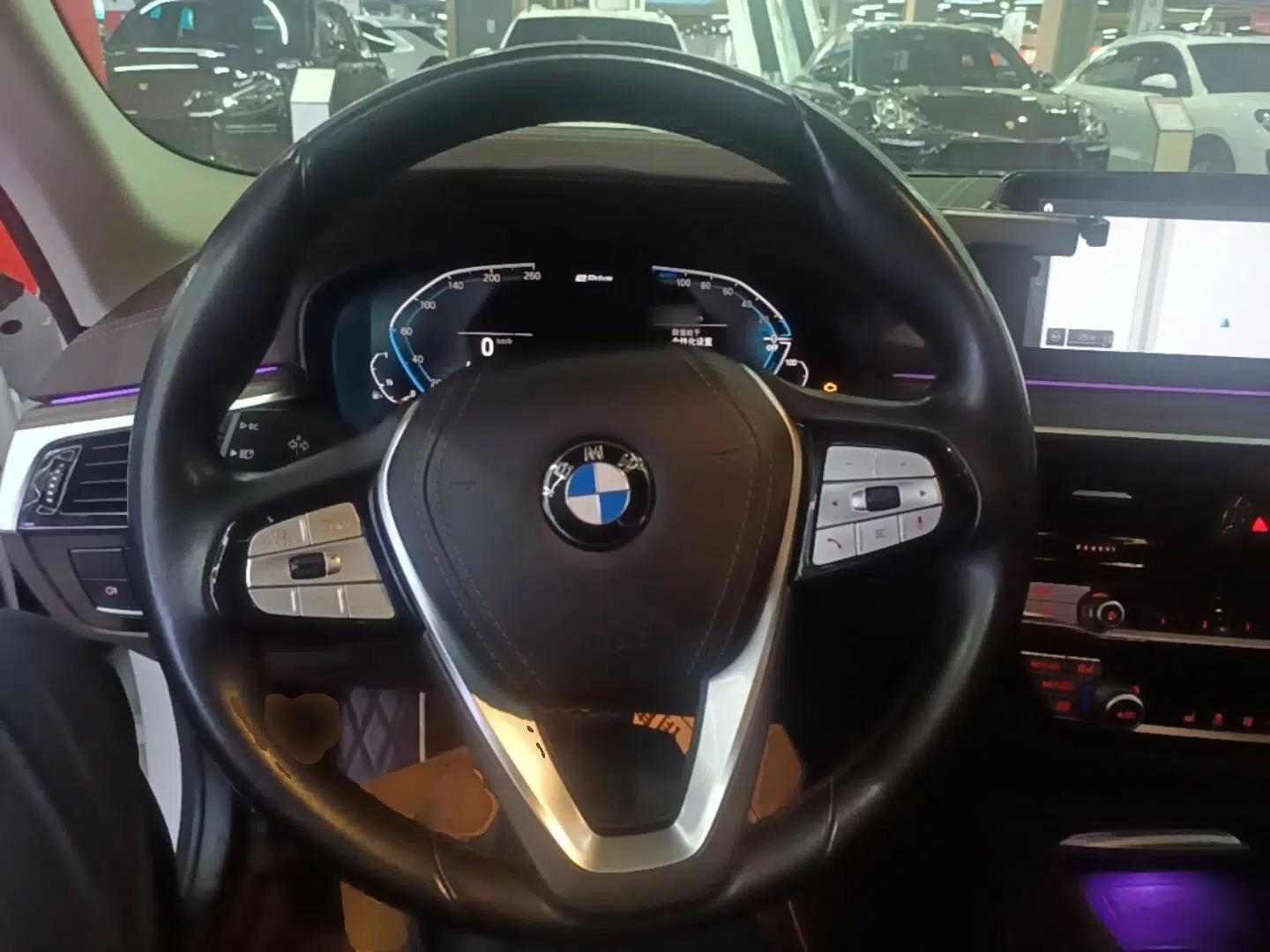 BMW 5 Series New Energy 2020 Mileage Upgrade Version 530Le Luxury Package — миниатюра 14