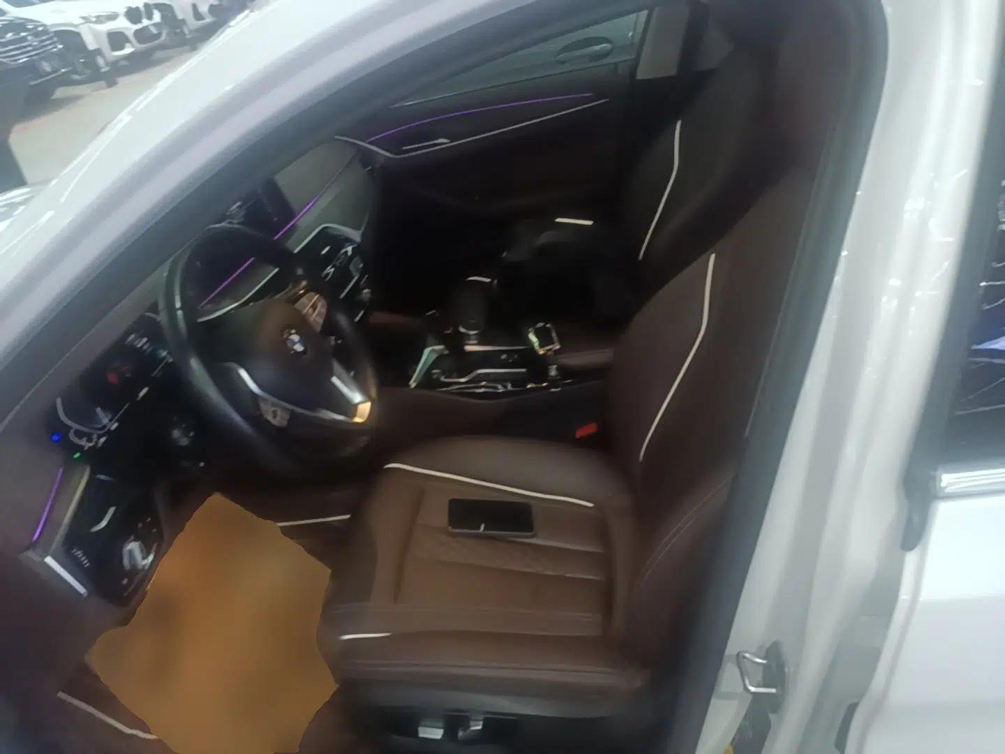 BMW 5 Series New Energy 2020 Mileage Upgrade Version 530Le Luxury Package — миниатюра 18