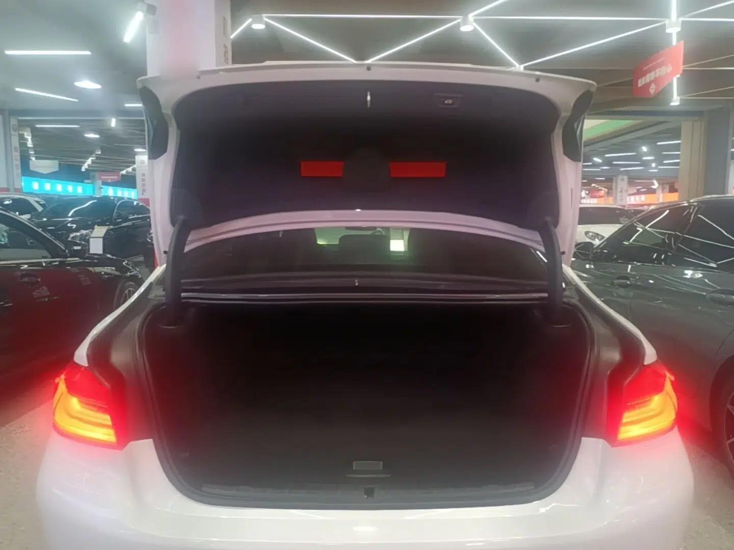 BMW 5 Series New Energy 2020 Mileage Upgrade Version 530Le Luxury Package — миниатюра 22