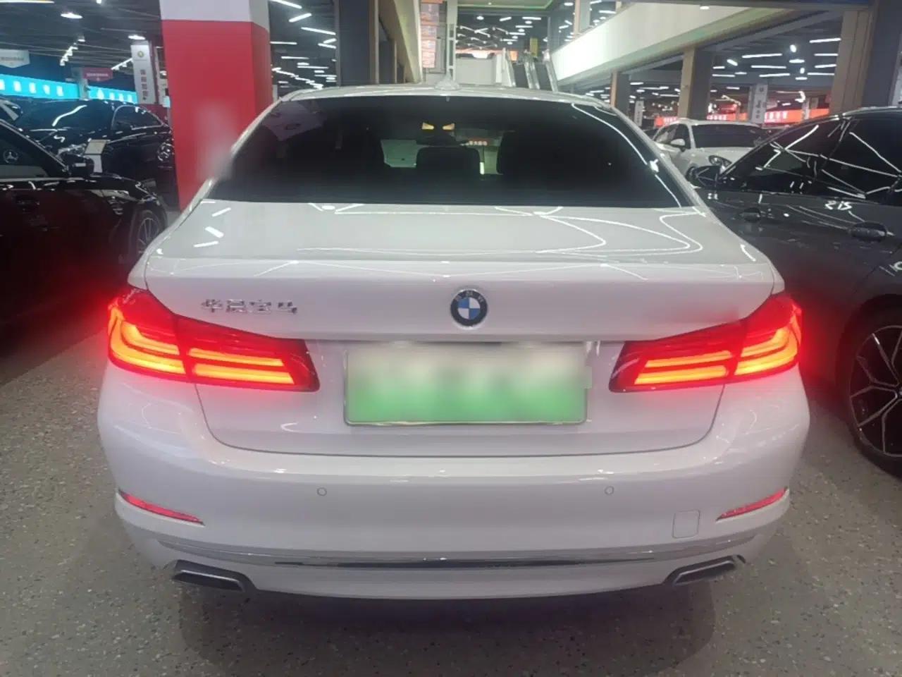 BMW 5 Series New Energy 2020 Mileage Upgrade Version 530Le Luxury Package — миниатюра 5