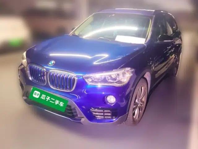 BMW X1 New Energy 2018 xDrive25Le Luxury Model