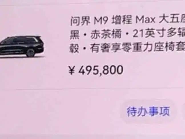 Wenjie M9 2025 Extended Range Max Edition 52kWh 5-Seat Version (192-line LiDAR) — миниатюра 22
