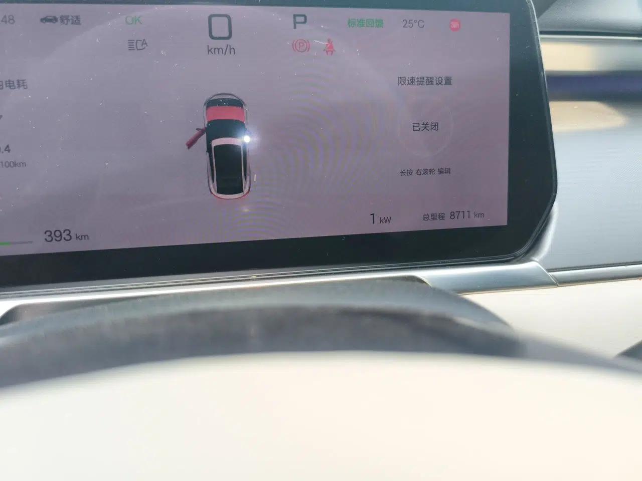 BYD Song L EV 2025 662 km Advanced Intelligent Driving Version — миниатюра 13