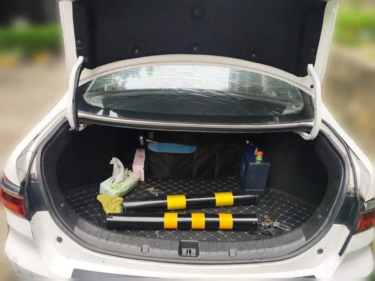 BYD Qin New Energy 2019 Travel Edition — миниатюра 20