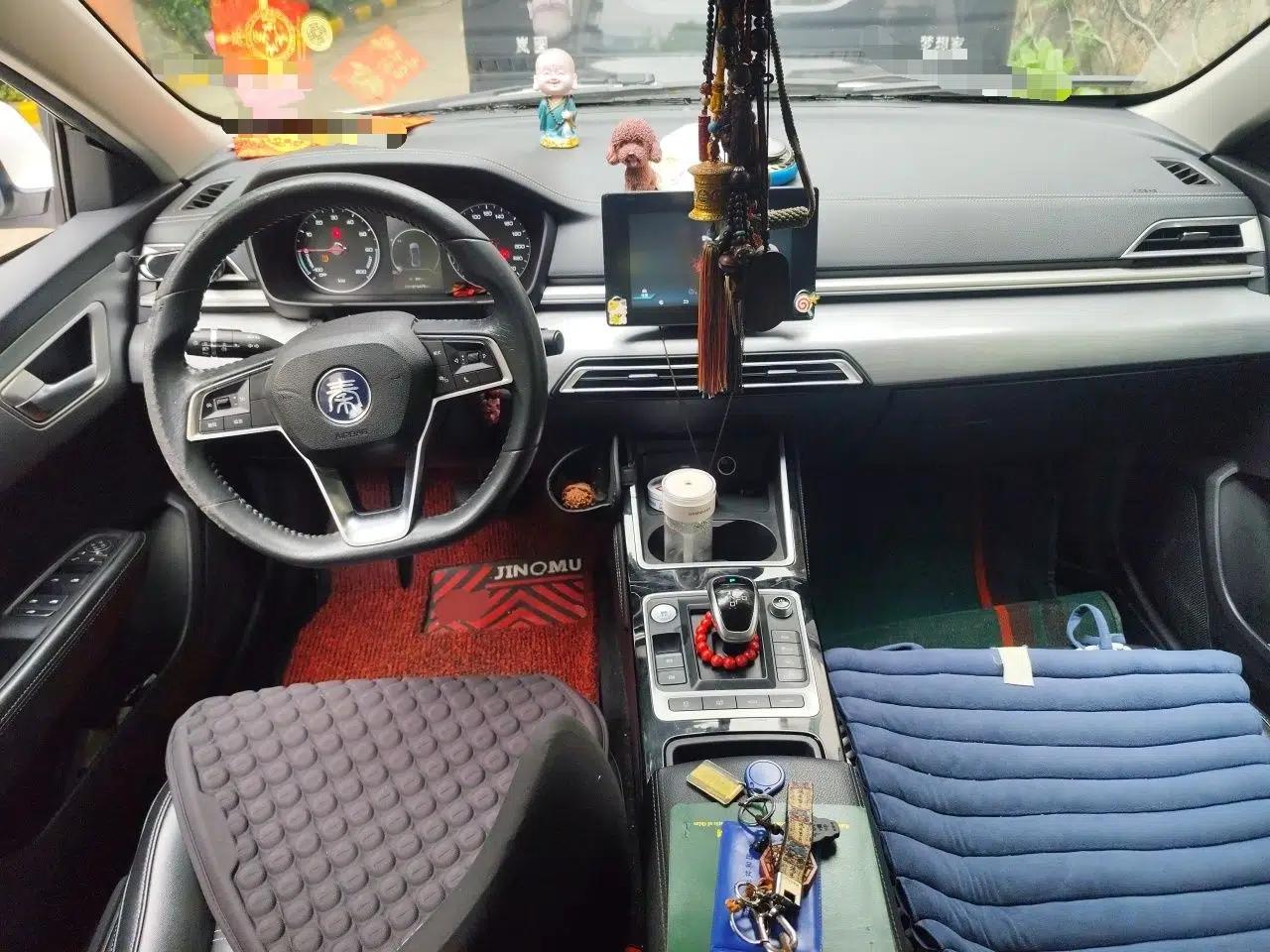BYD Qin New Energy 2019 Travel Edition — миниатюра 10