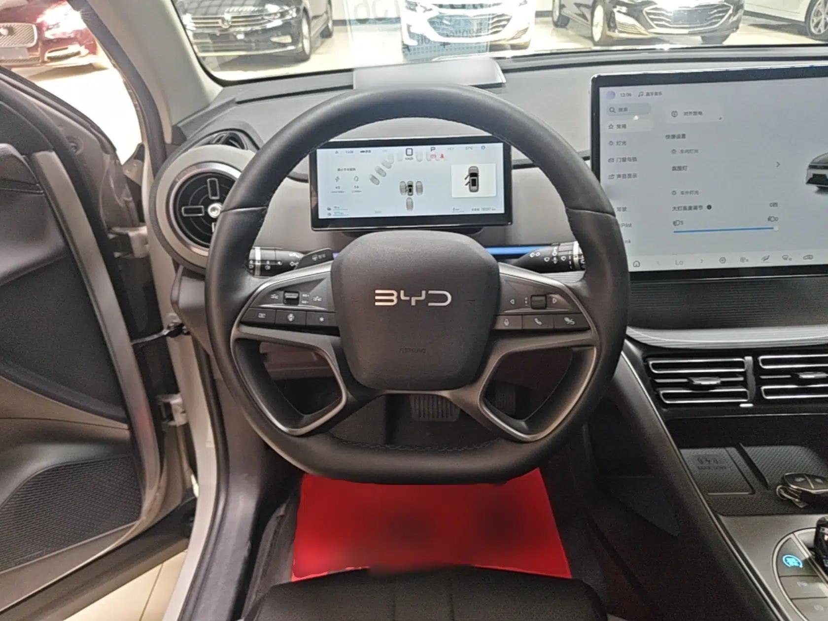 BYD Sealion 05 DM-i 2025 DM-i Smart Drive 115KM Flagship Model — миниатюра 14