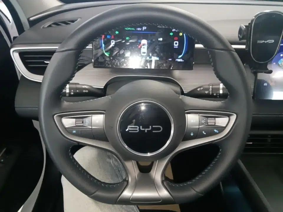 BYD Seal 05 DM-i 2025 DM-i Smart Drive 55KM Luxury Model — миниатюра 14