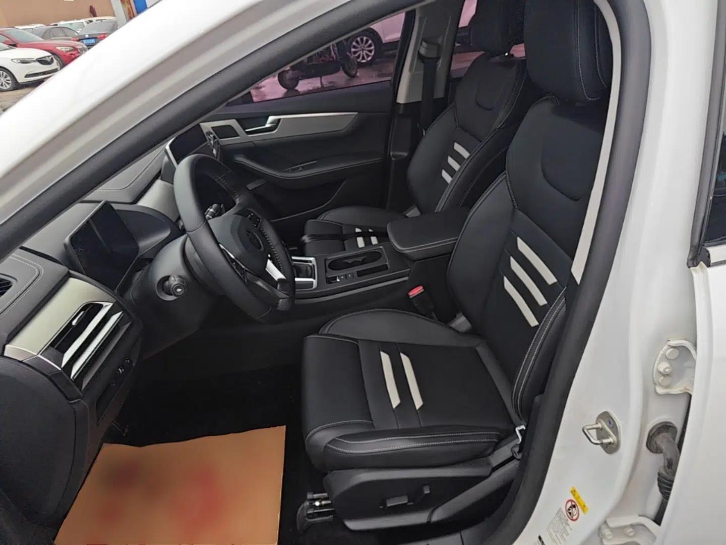 BYD Qin Pro 2018 1.5TI Automatic Smart Connect Luxury Edition — миниатюра 18