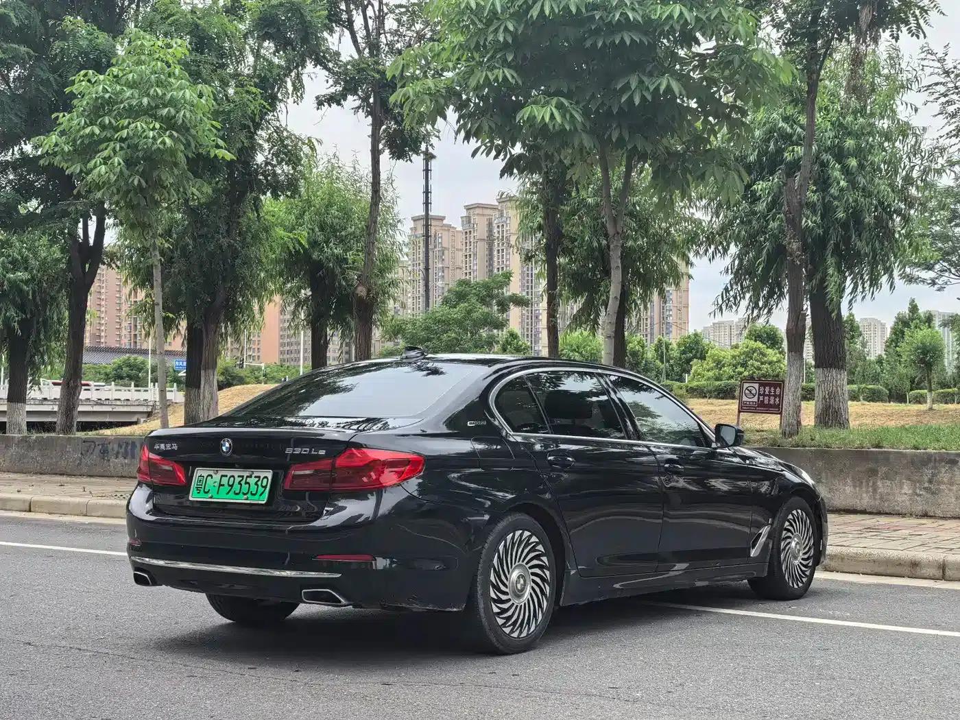 BMW 5 Series PHEV 2019 Facelift 530Le Pioneer Edition — миниатюра 7