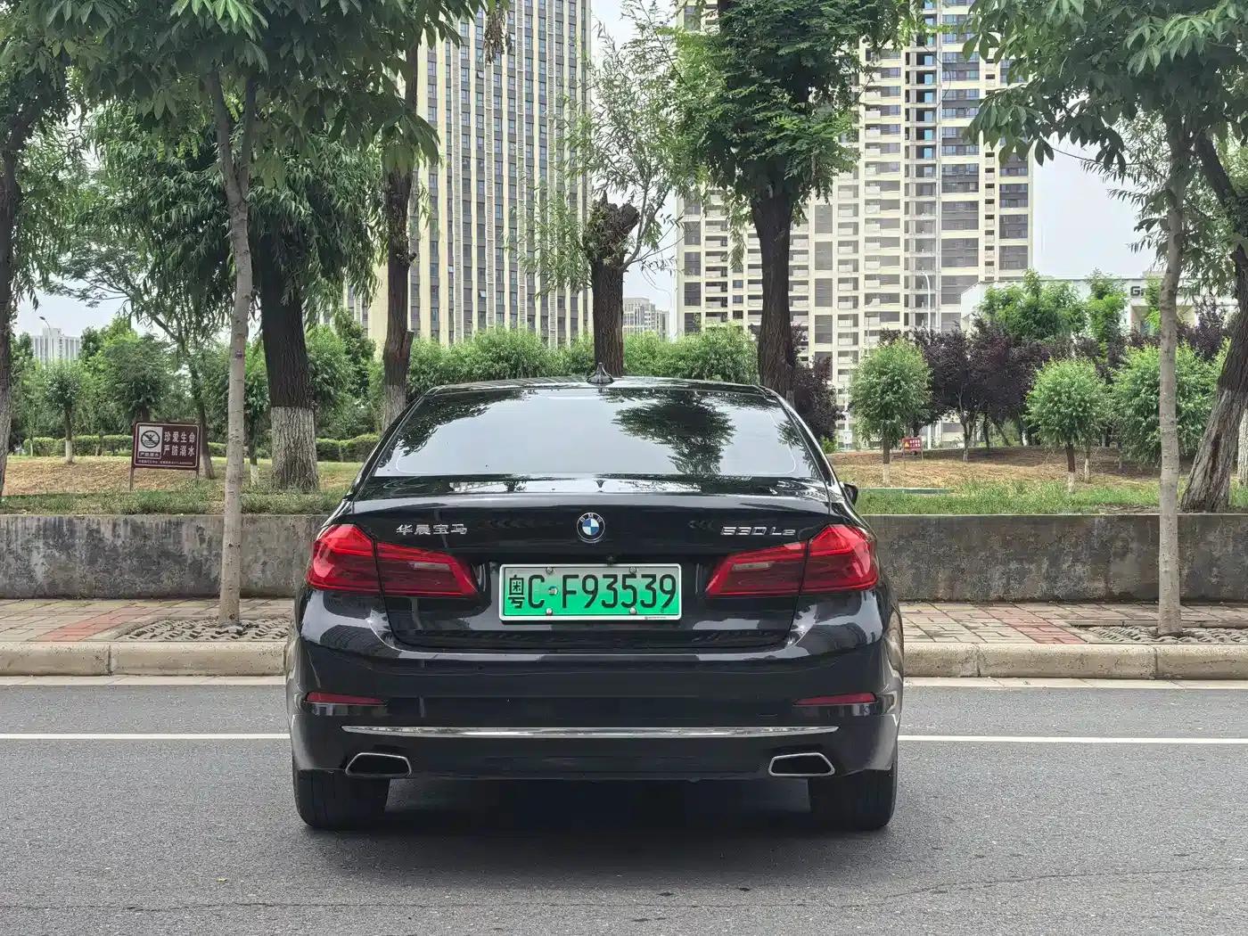 BMW 5 Series PHEV 2019 Facelift 530Le Pioneer Edition — миниатюра 8