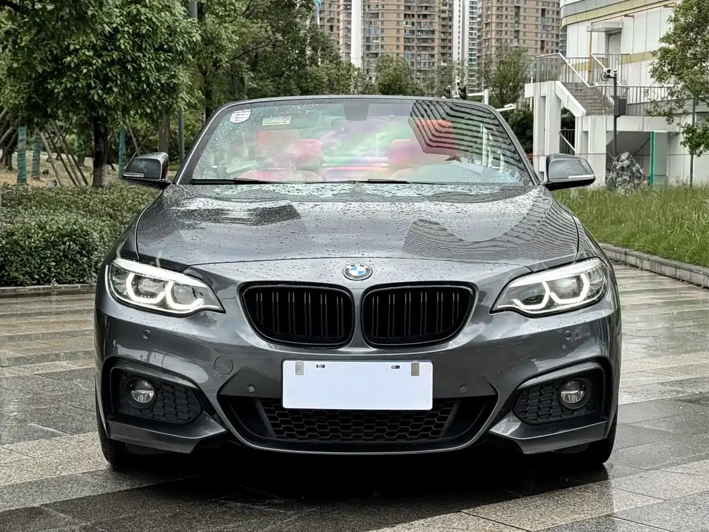 2018 BMW 2 Series Imported 225i Convertible Coupe, M Sport Package — миниатюра 2