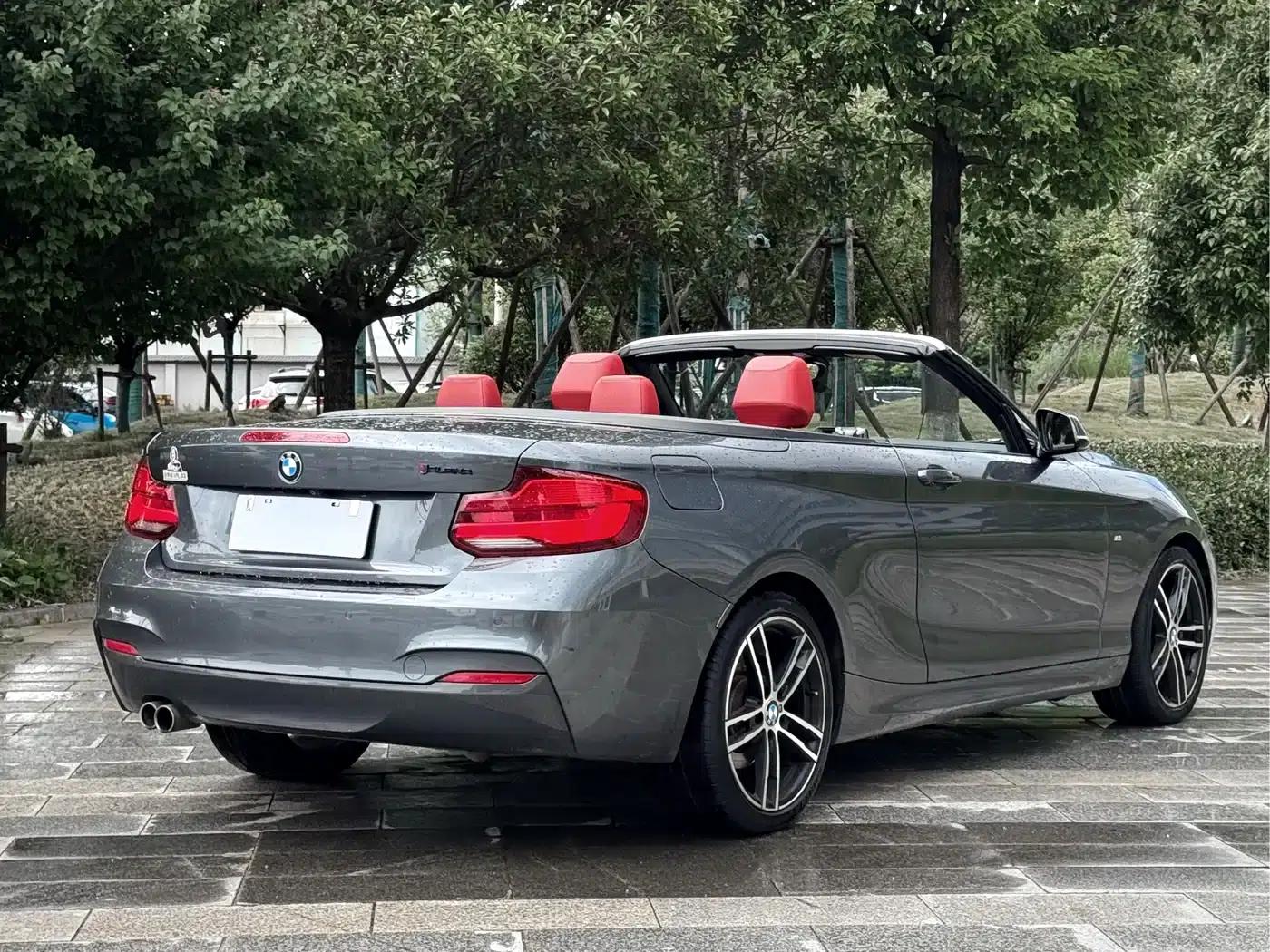 2018 BMW 2 Series Imported 225i Convertible Coupe, M Sport Package — миниатюра 7