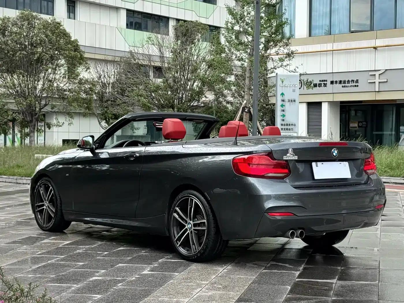 2018 BMW 2 Series Imported 225i Convertible Coupe, M Sport Package — миниатюра 9