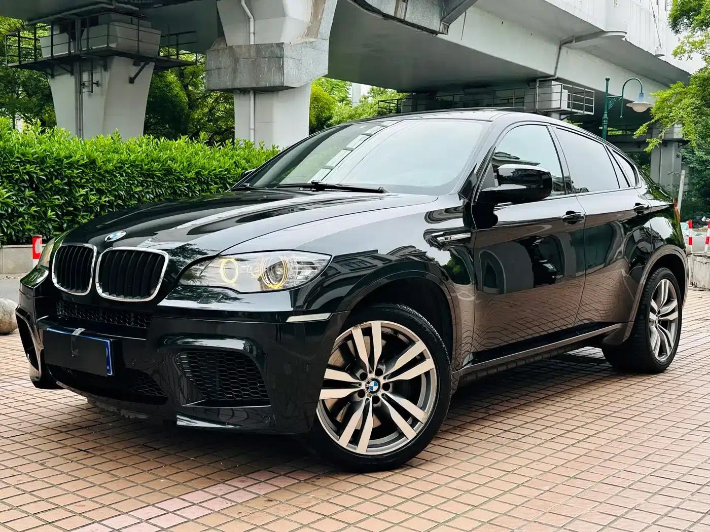2010 BMW X6 M — миниатюра 1