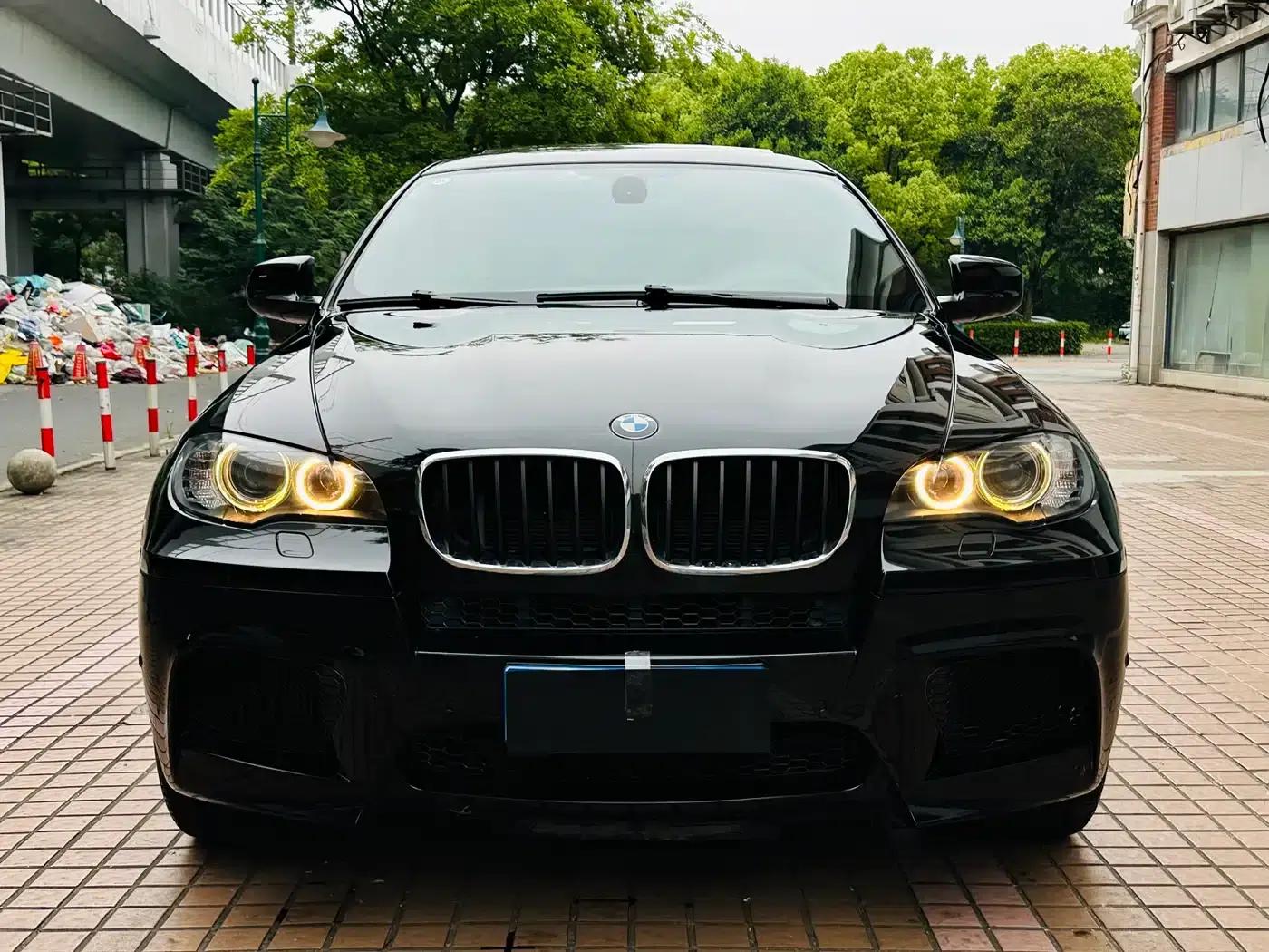2010 BMW X6 M — миниатюра 2