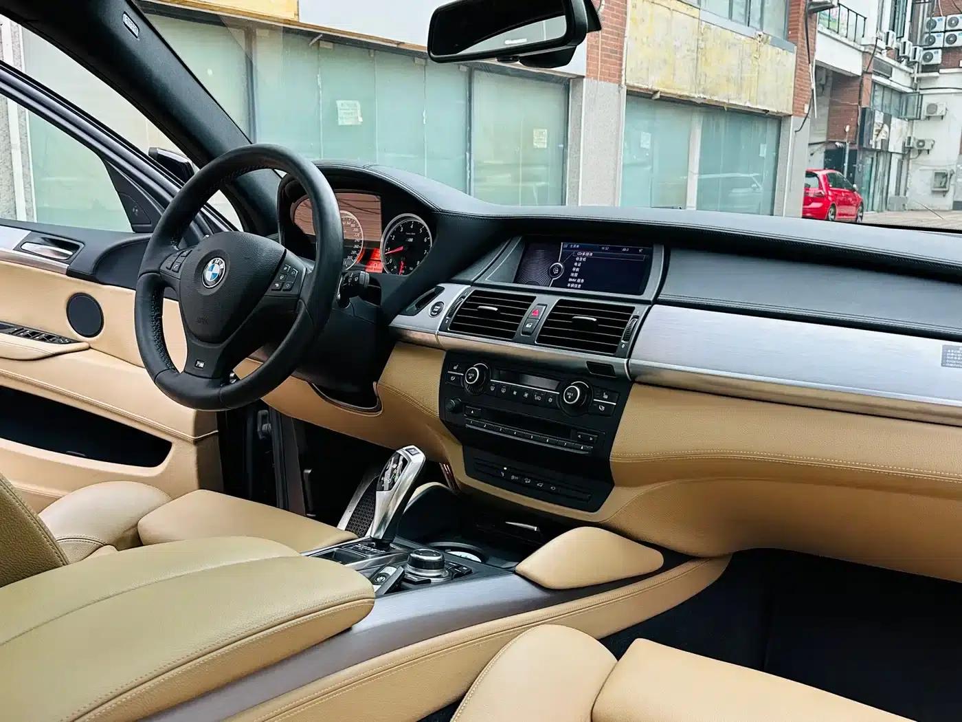 2010 BMW X6 M — миниатюра 17