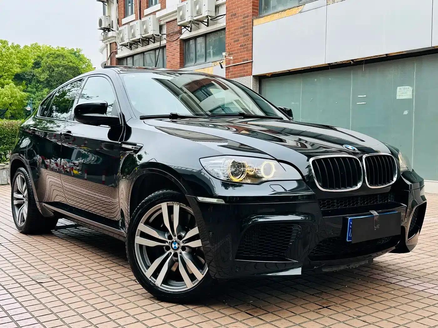 2010 BMW X6 M — миниатюра 3