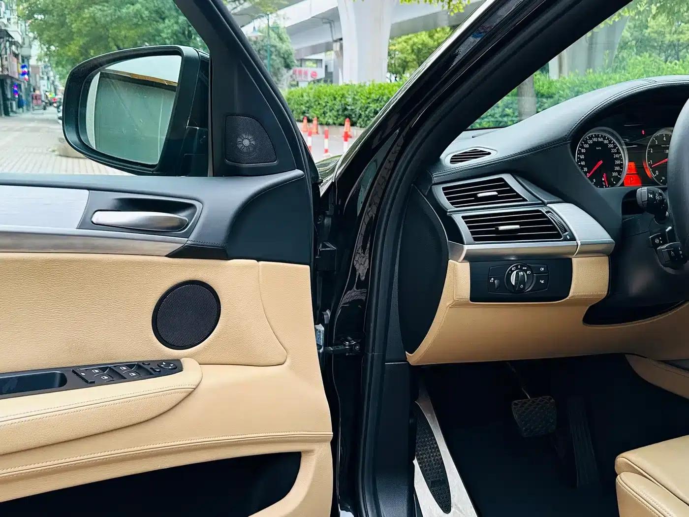 2010 BMW X6 M — миниатюра 23