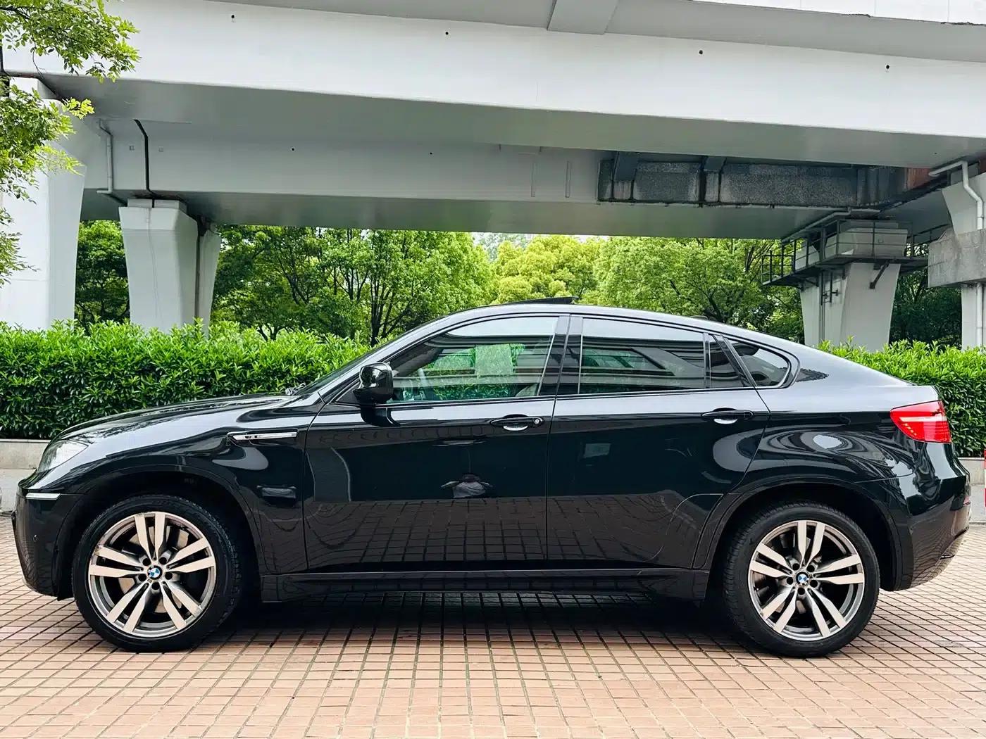 2010 BMW X6 M — миниатюра 27
