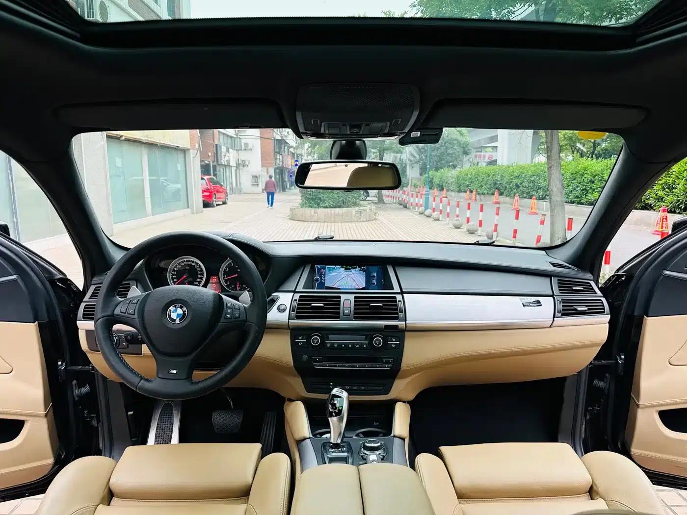 2010 BMW X6 M — миниатюра 5