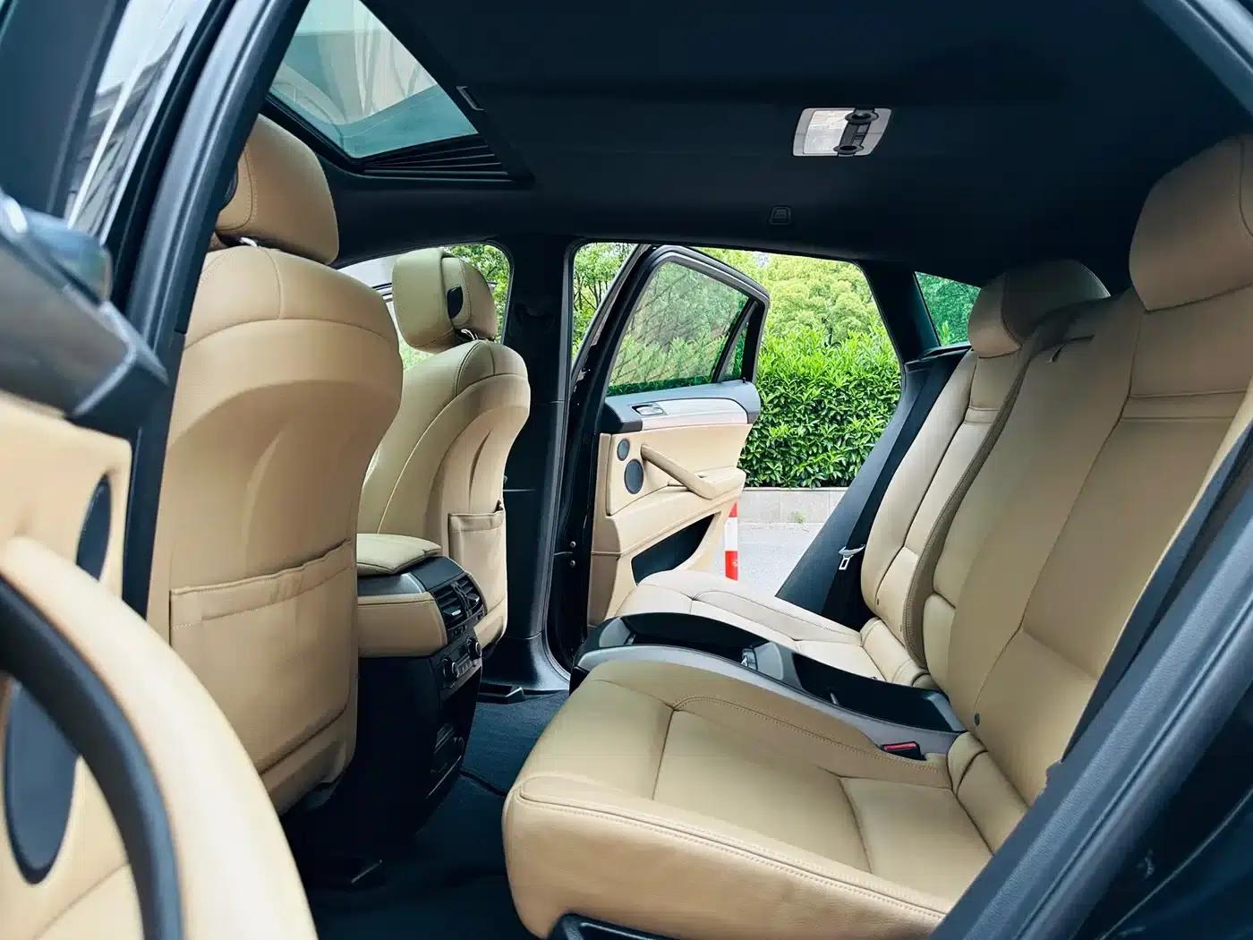 2010 BMW X6 M — миниатюра 6