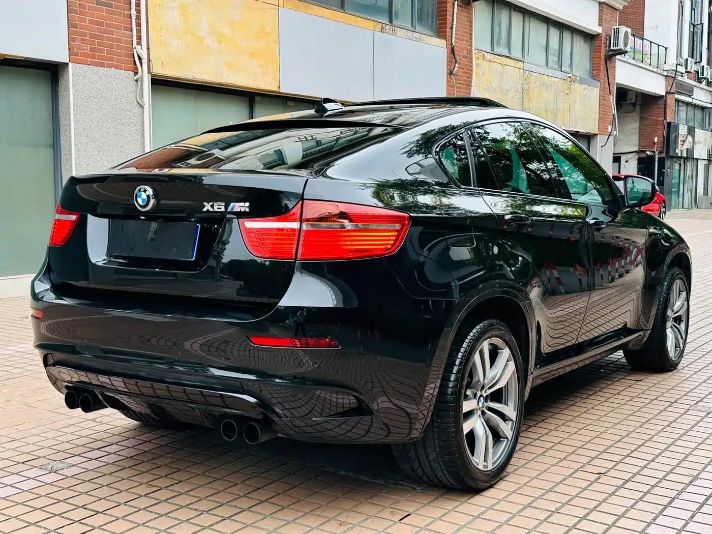 2010 BMW X6 M — миниатюра 7