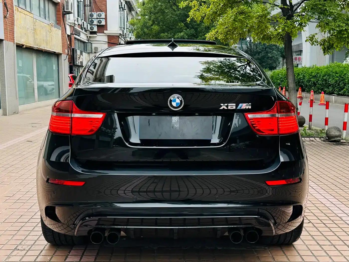 2010 BMW X6 M — миниатюра 8