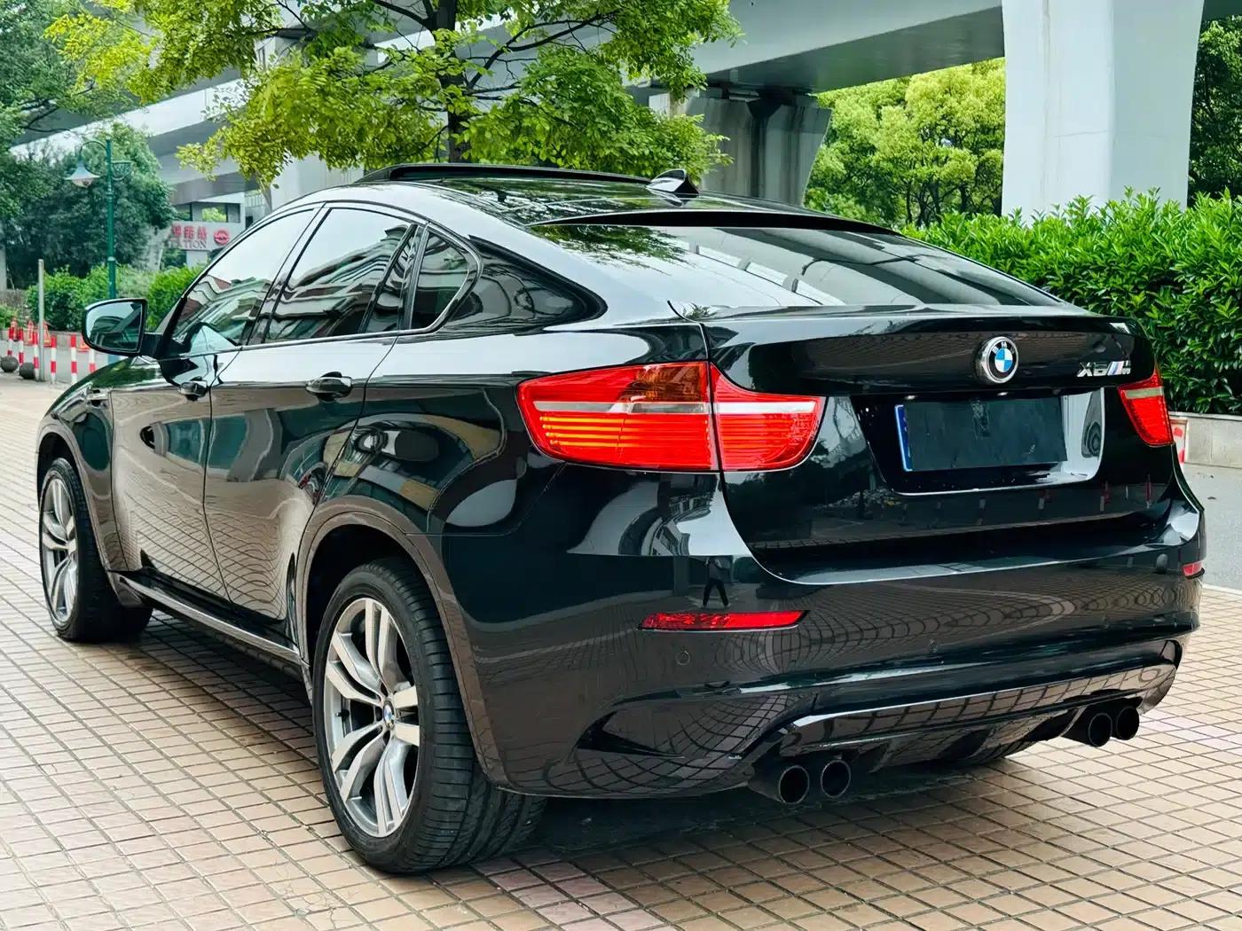 2010 BMW X6 M — миниатюра 9