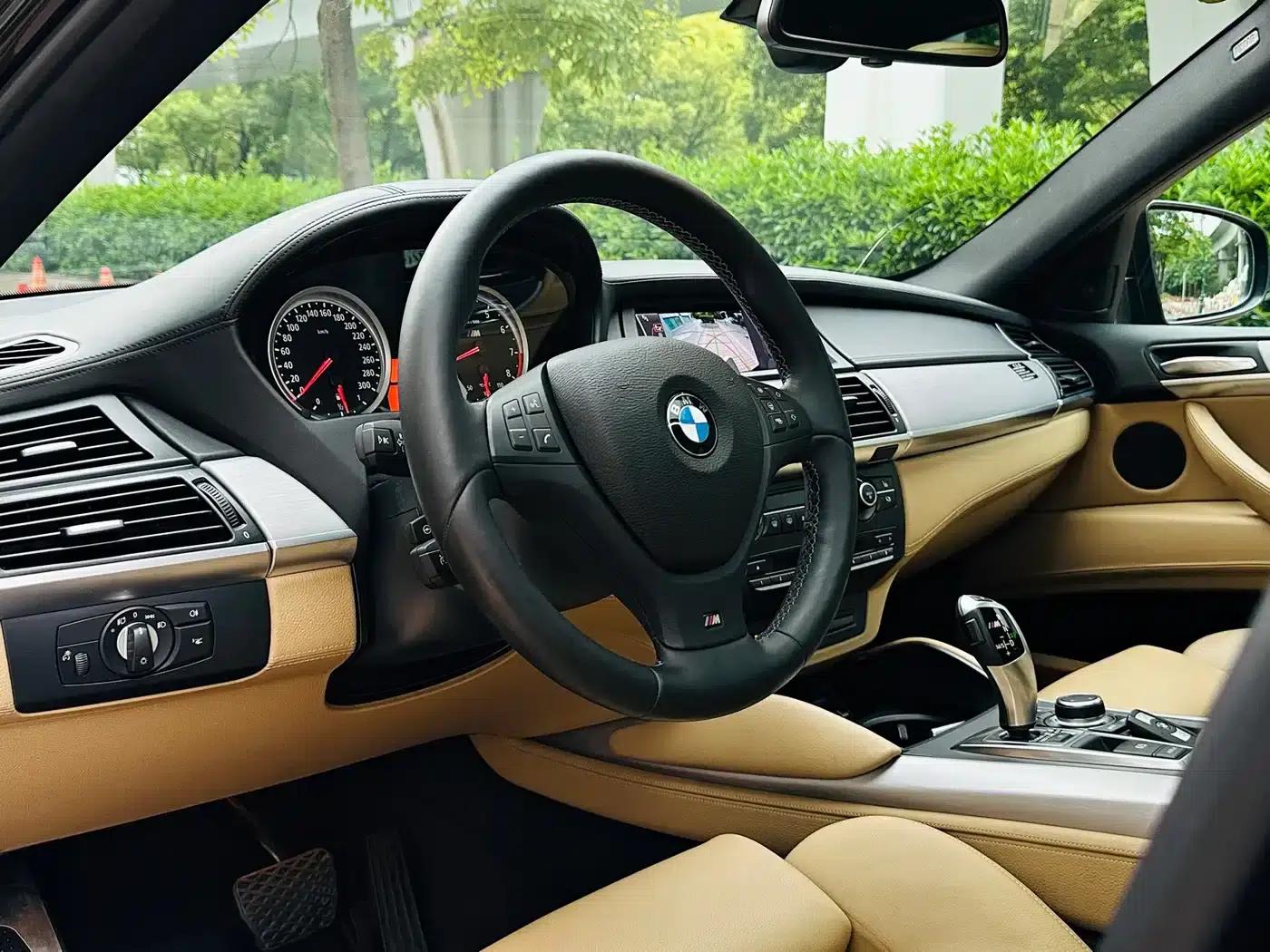 2010 BMW X6 M — миниатюра 10