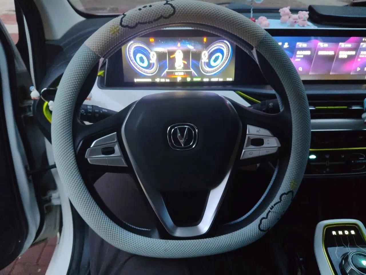 CHANGAN Benni E-Star 2020 Xinyue Edition Lithium-NMC — миниатюра 11