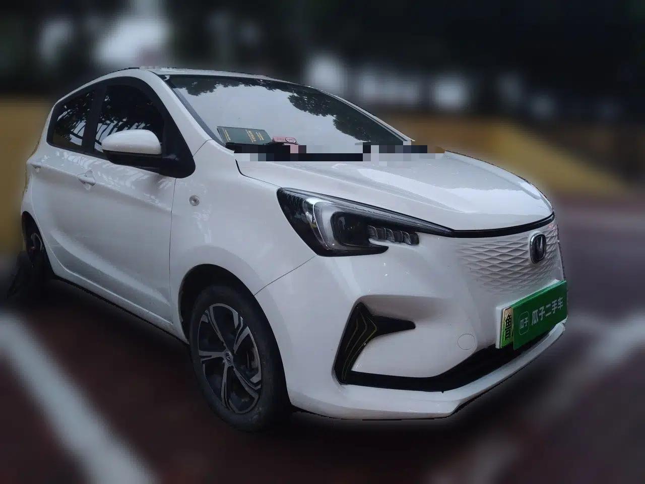 CHANGAN Benni E-Star 2020 Xinyue Edition Lithium-NMC — миниатюра 3