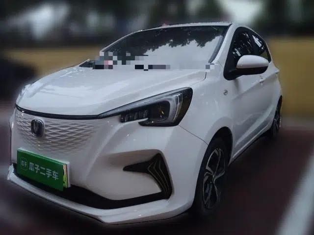 CHANGAN Benni E-Star 2020 Xinyue Edition Lithium-NMC