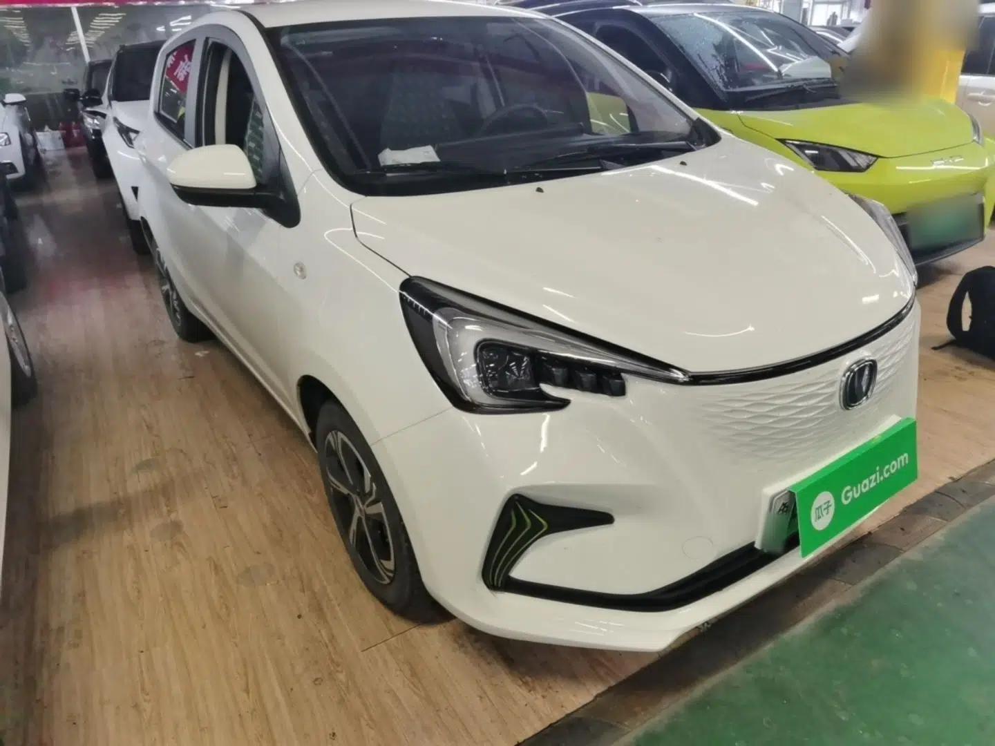 CHANGAN Benni E-Star 2022 Qingxin Edition Colorful Model Lithium Iron Phosphate — миниатюра 6